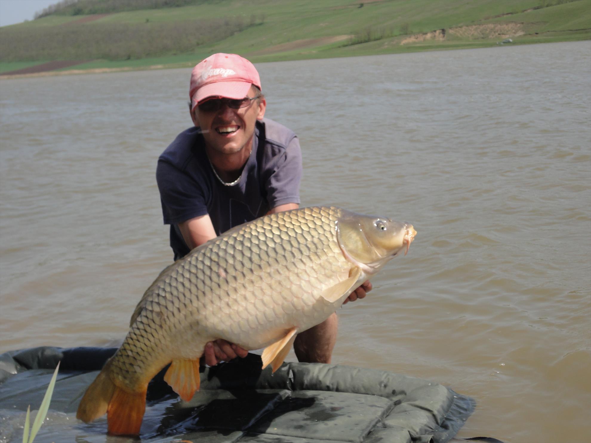 Adunate... - dsc02340.JPG